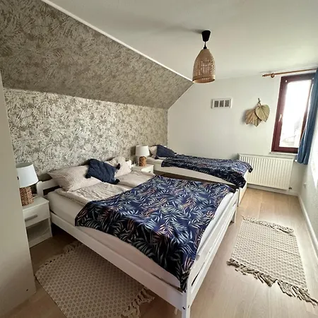 Karneval Vendeghaz Ferienhaus
